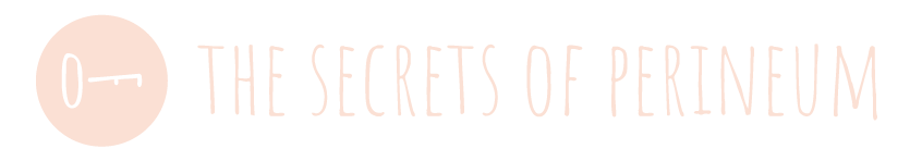 The Secrets of Perineum - Shop